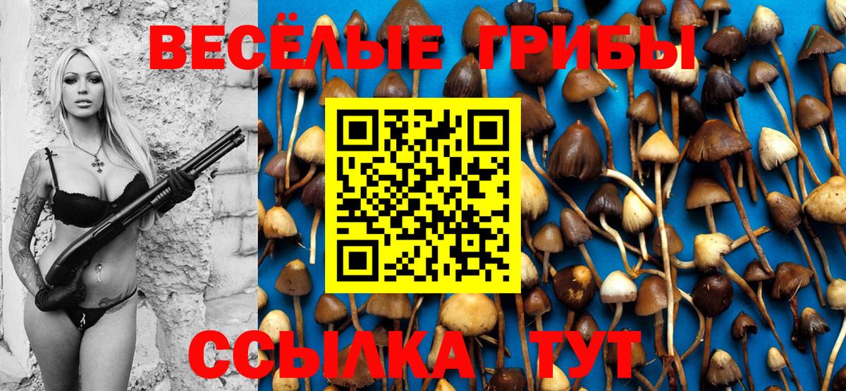 Галлюциногенные грибы Magic Shrooms  Вход с VPN  Кемерово  Галлюциногенные грибы GOLDEN TEACHER 