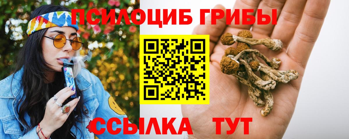 Галлюциногенные грибы Psilocybe Кемерово